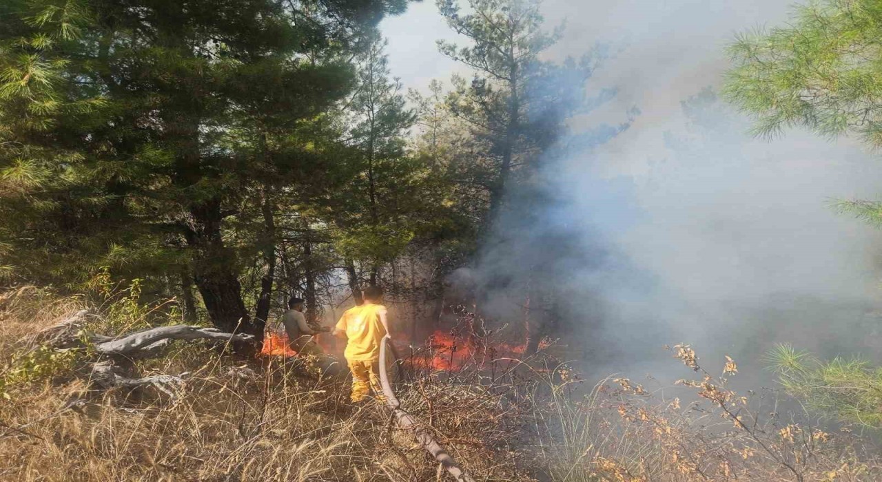 Buldandaki orman yangınına havadan müdahale başladı