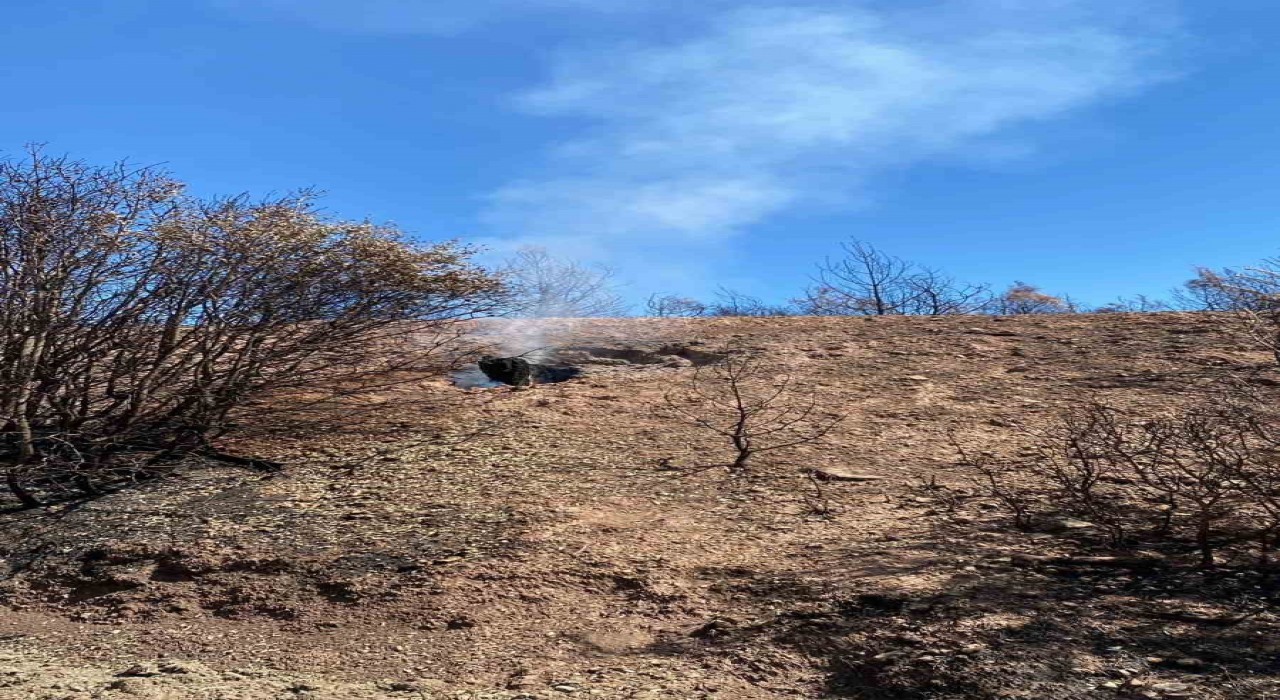 Buldandaki yangın bölgesinde kökler yanmaya devam ediyor