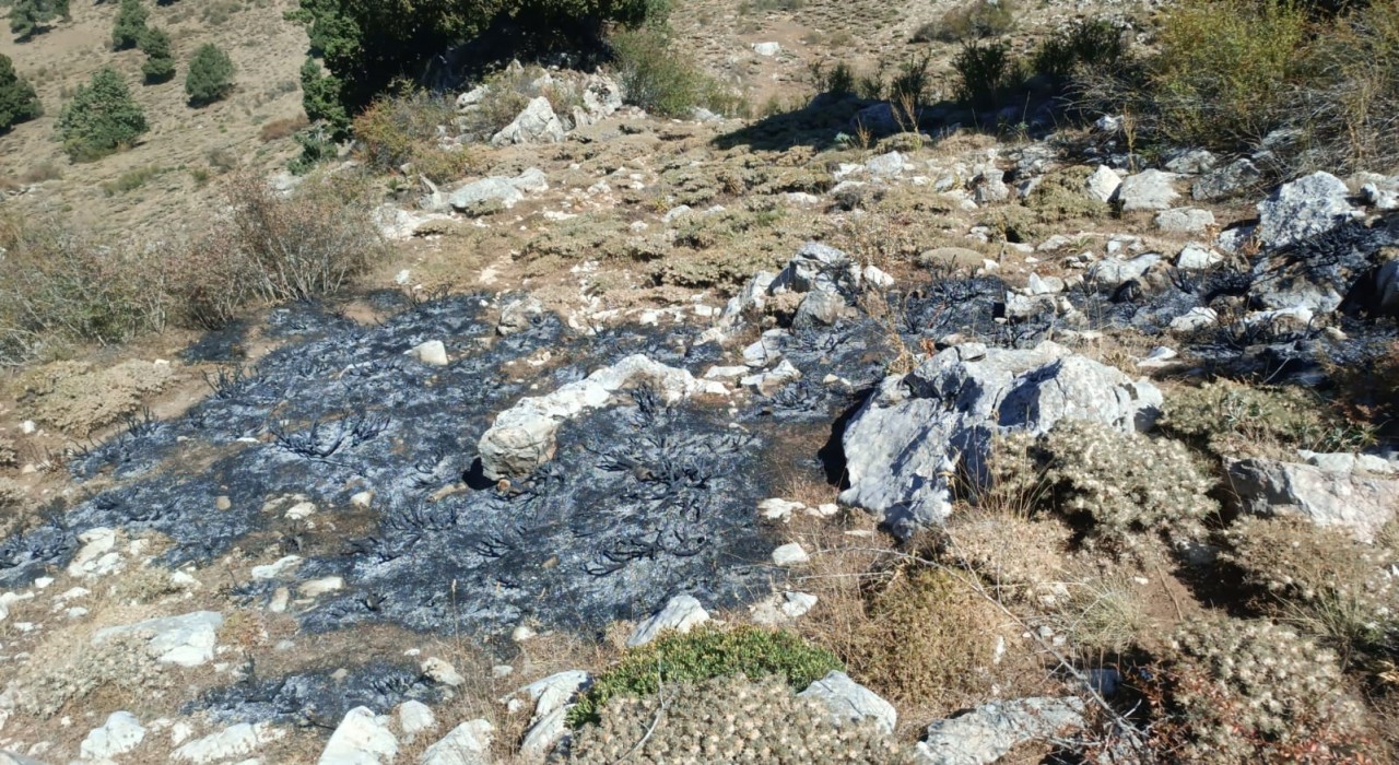 Burdurda çalılık alanda yangın