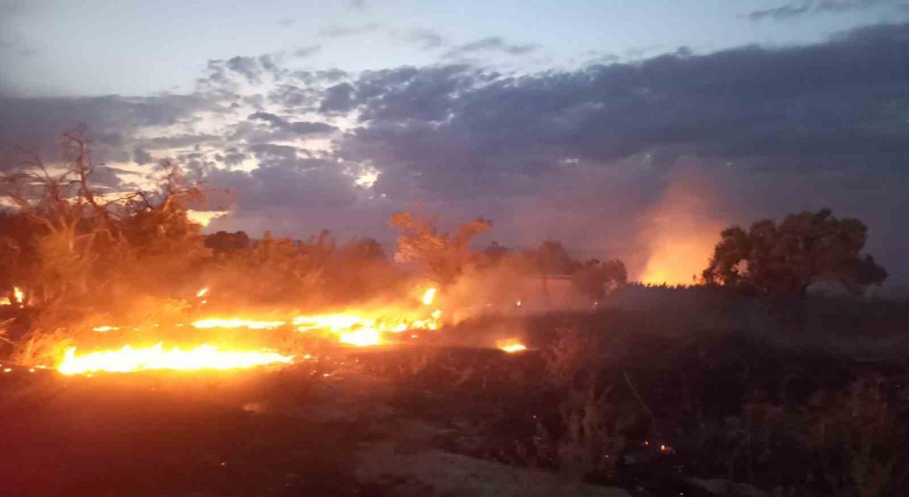 Burdurda otluk alandaki yangın itfaiye tarafından söndürüldü