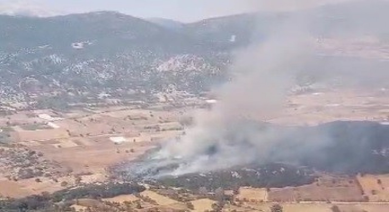 Burdurda tarlada çıkan yangın ormanlık alana sıçradı