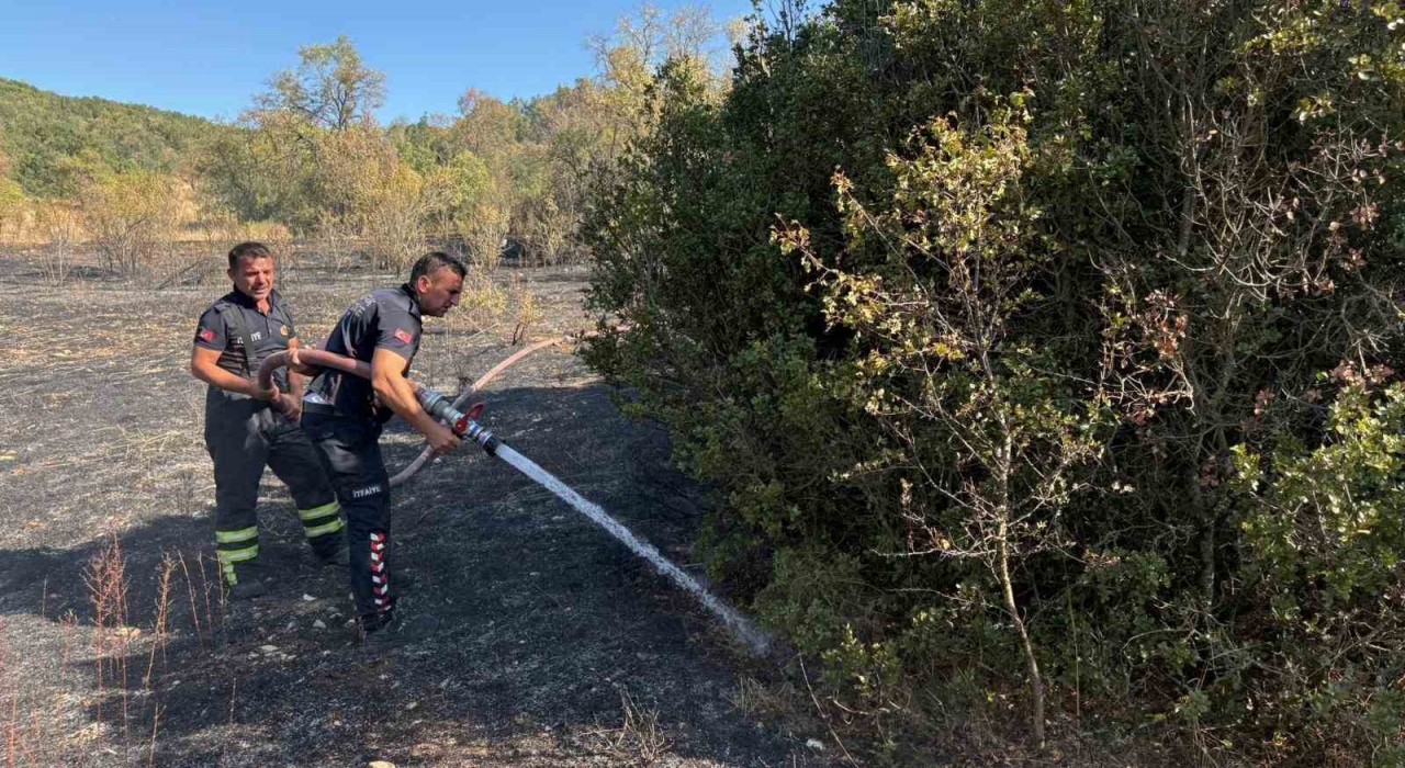 Burdurdaki orman yangını söndürüldü