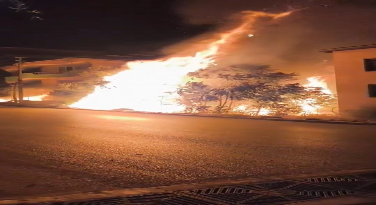 Bursada alev alan ağaçlar villaları böyle tehdit etti