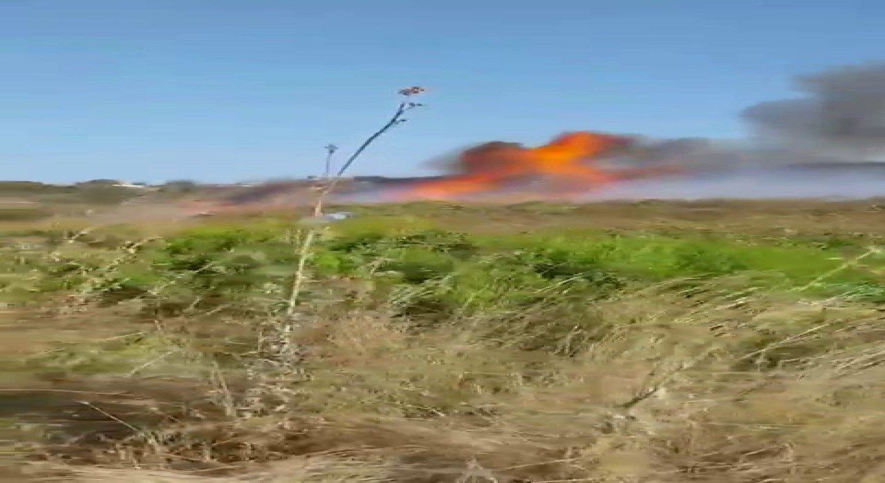 Bursada çalılık alanda yangın