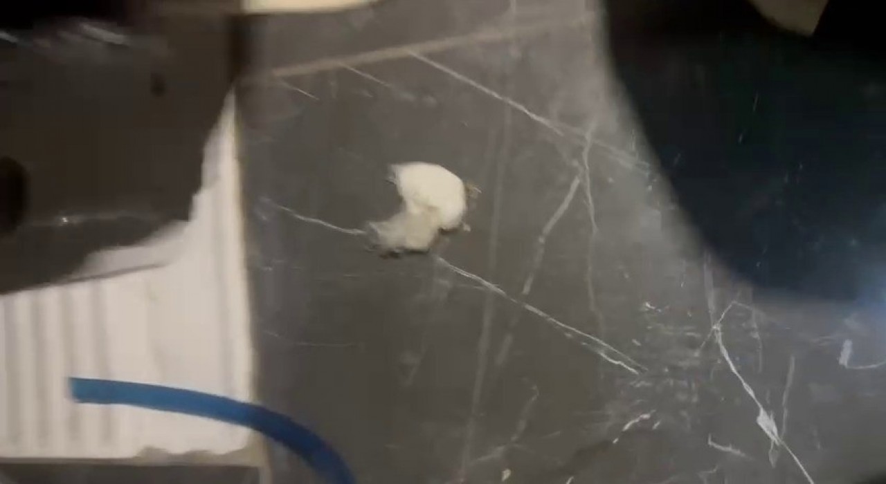 Bursada film sahnelerini aratmayan kovalamaca