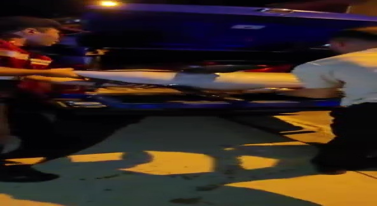 Bursada ölü yunus balığı kıyıya vurdu