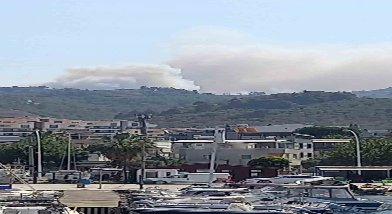 Bursada orman yangını