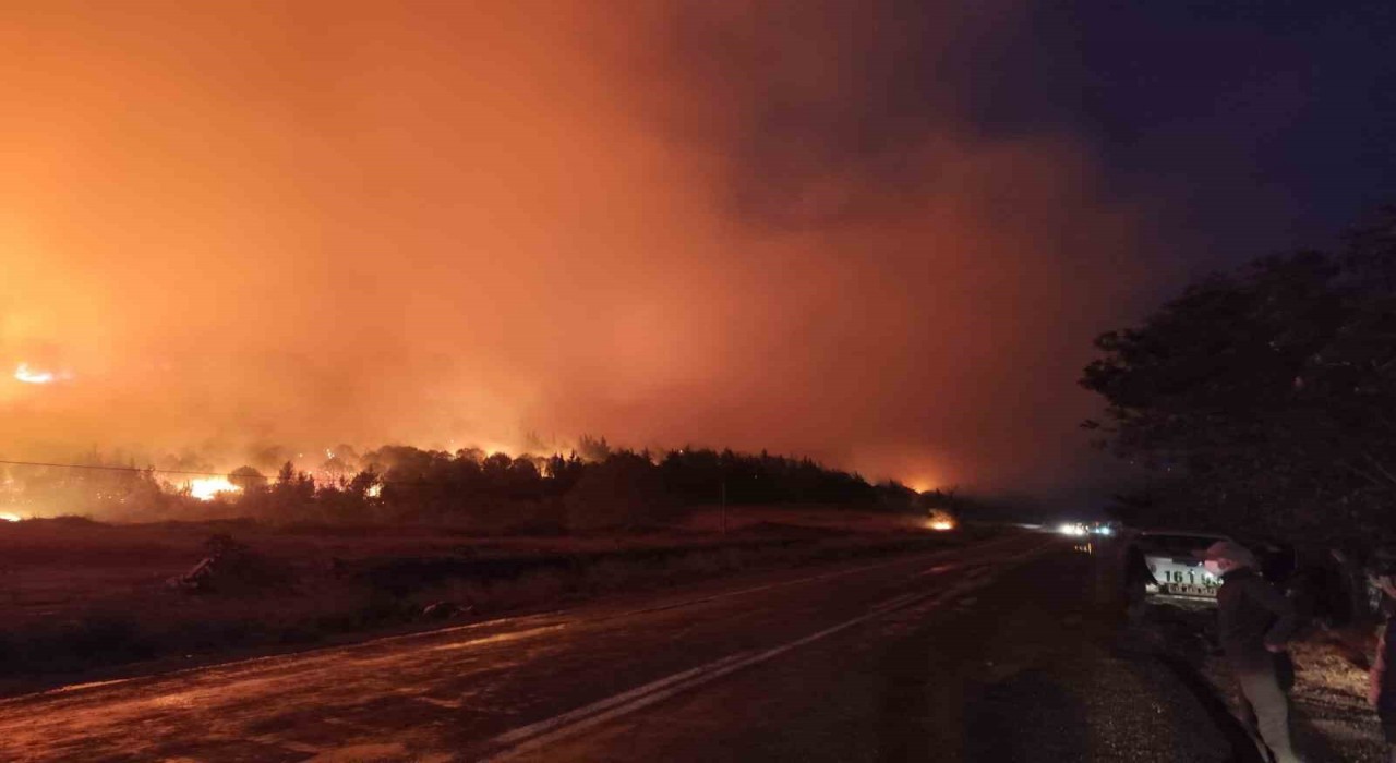 Bursada orman yangını...Rüzgarın etkisiyle büyüdü