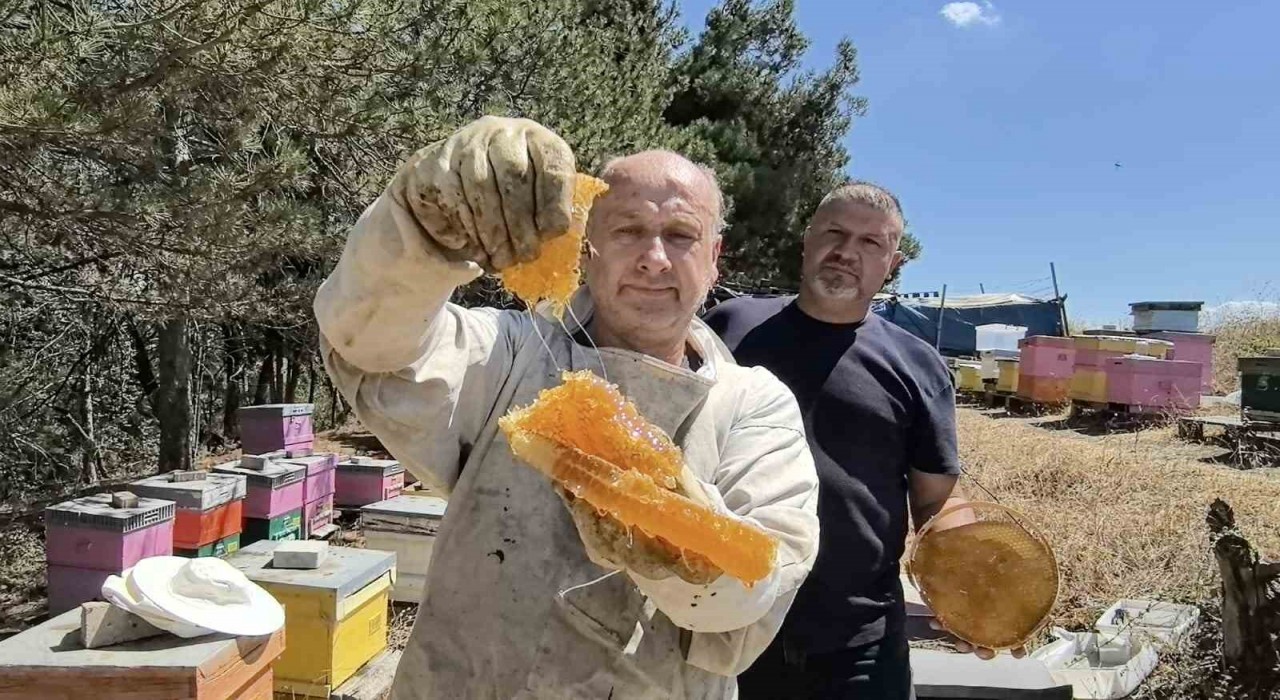 Bursada üretilen bu bal her derde deva