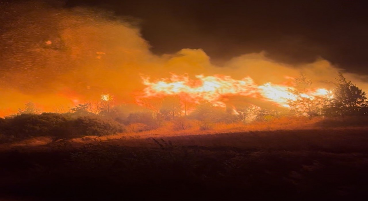 Bursadaki orman yangını Akçasusurluk köyüne yaklaştı, yerleşim alanları boşaltıldı