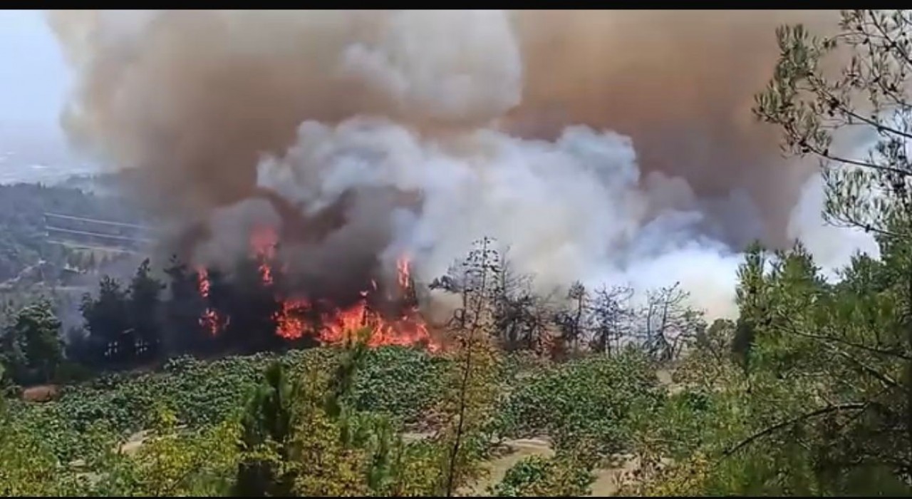 Bursadaki orman yangını büyüyor