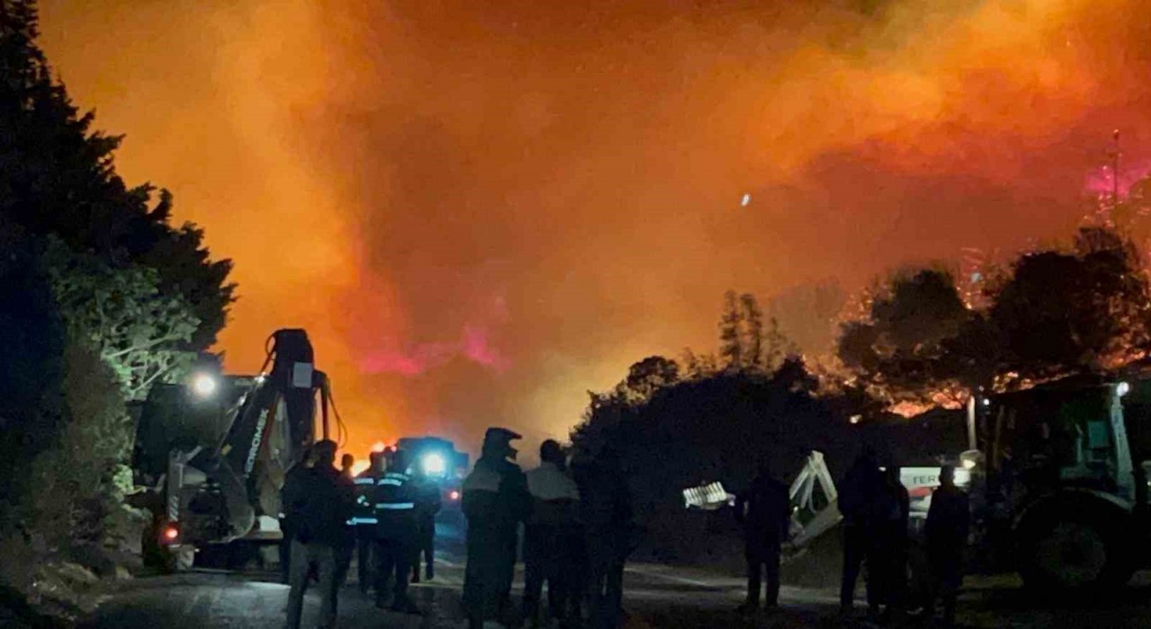 Bursadaki orman yangını kontrol altına alındı