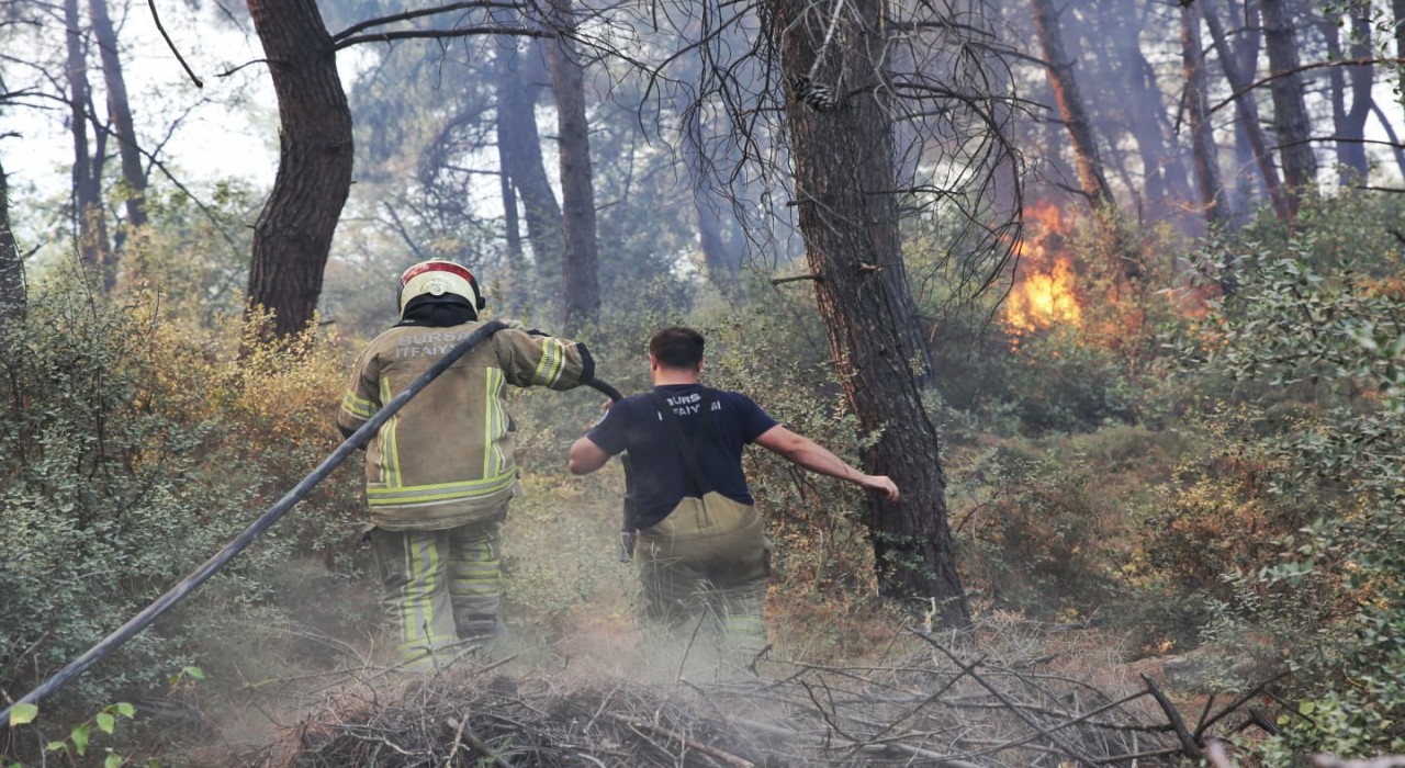 Büyükşehirden Gündoğdu yangını seferberliği