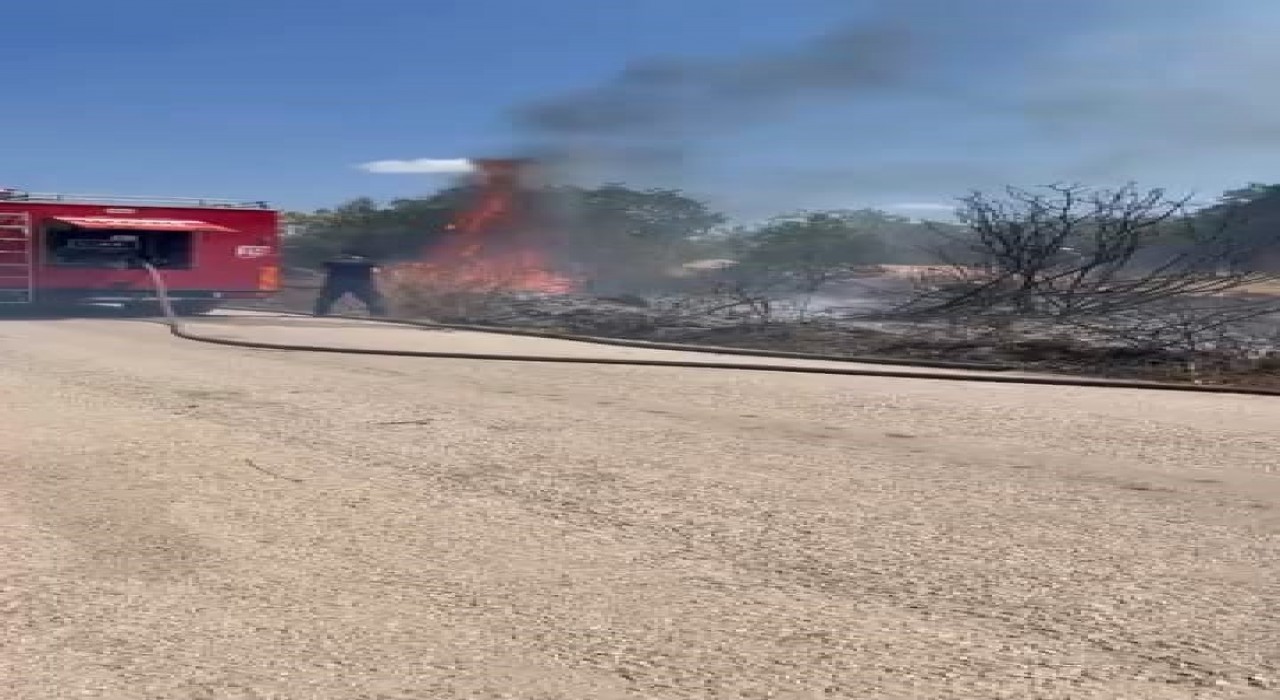 Çalılık alanda çıkan yangın korkuttu