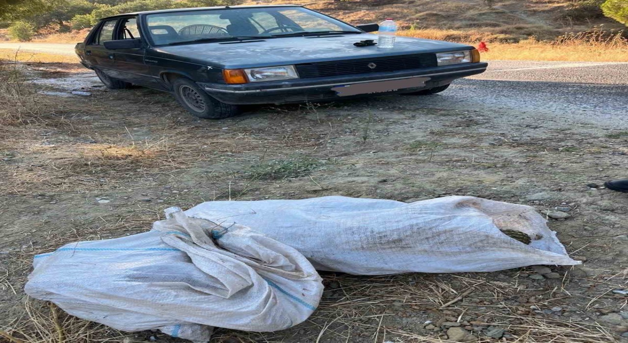 Çam fıstığı hırsızları jandarmaya yakalandı