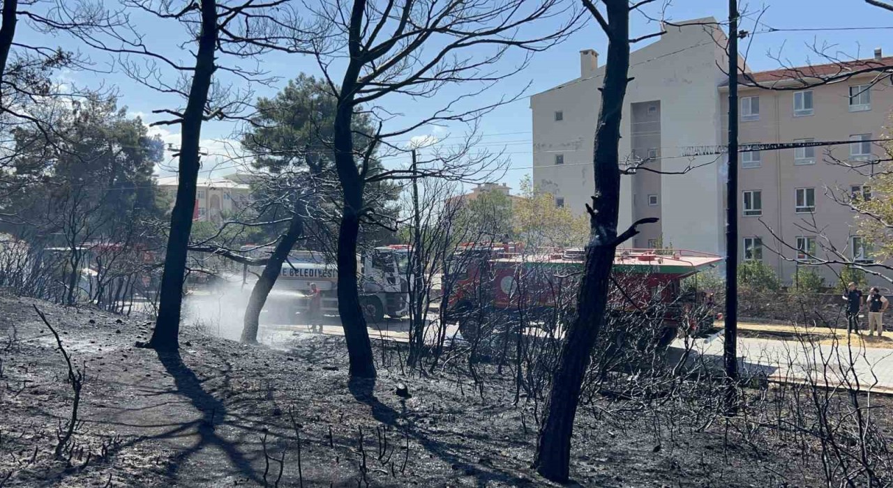 Çanakkalede çıkan orman yangını kontrol altına alındı, okullar ve pansiyonlar ucuz kurtuldu