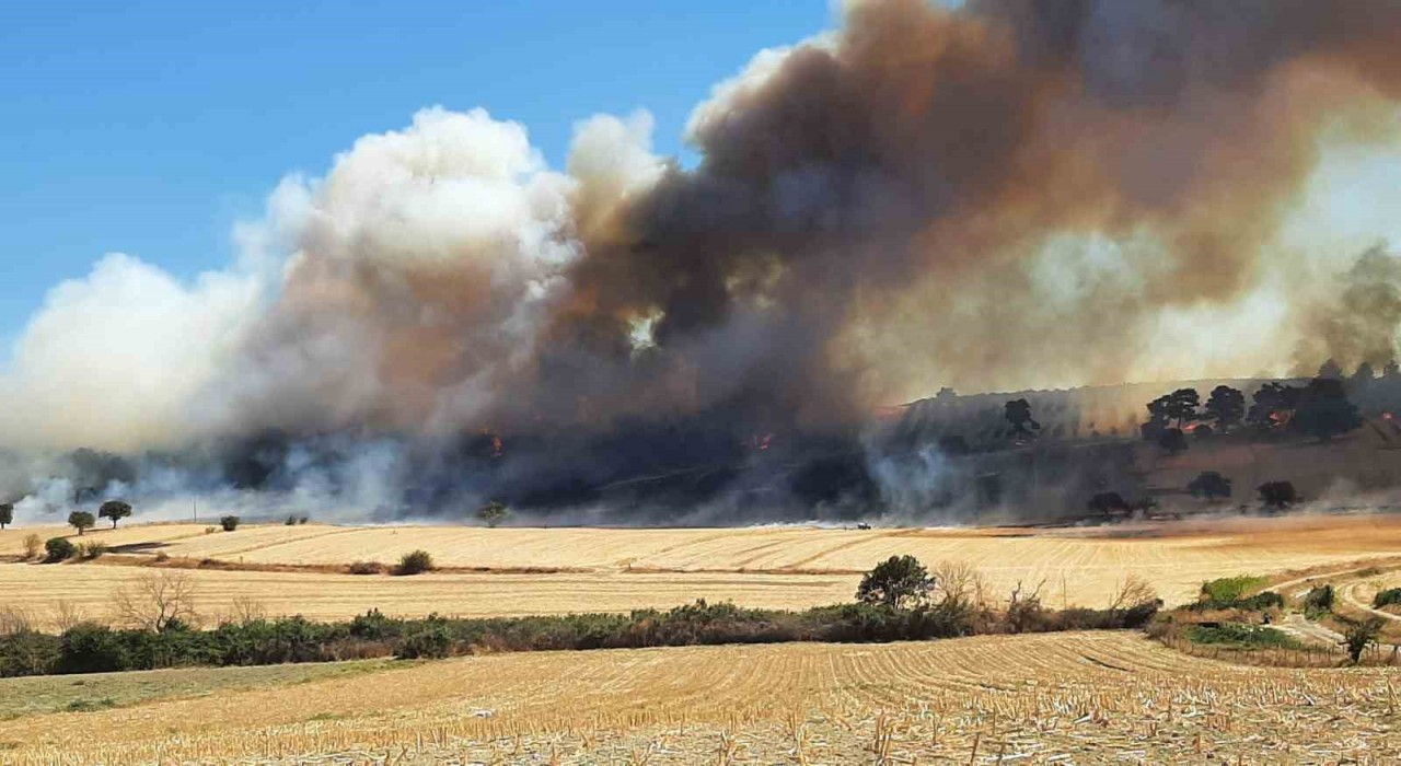 Çanakkalede orman yangını