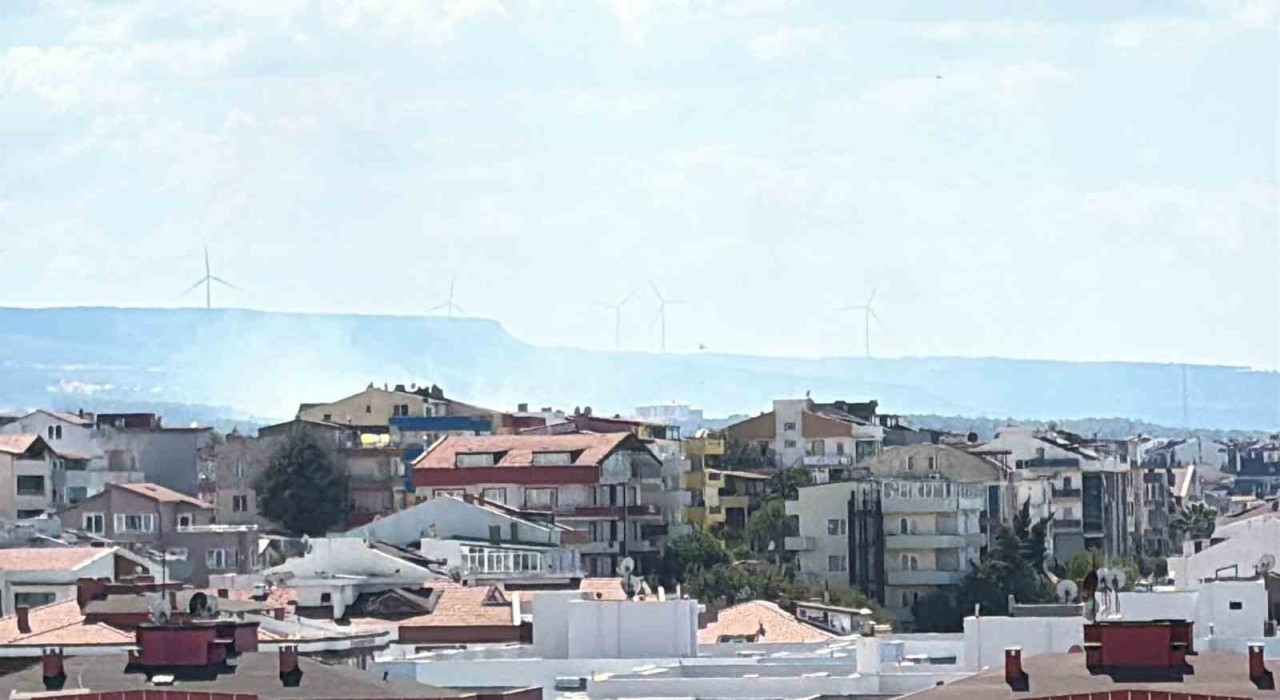 Çanakkalede orman yangını: 2 okul tahliye edildi