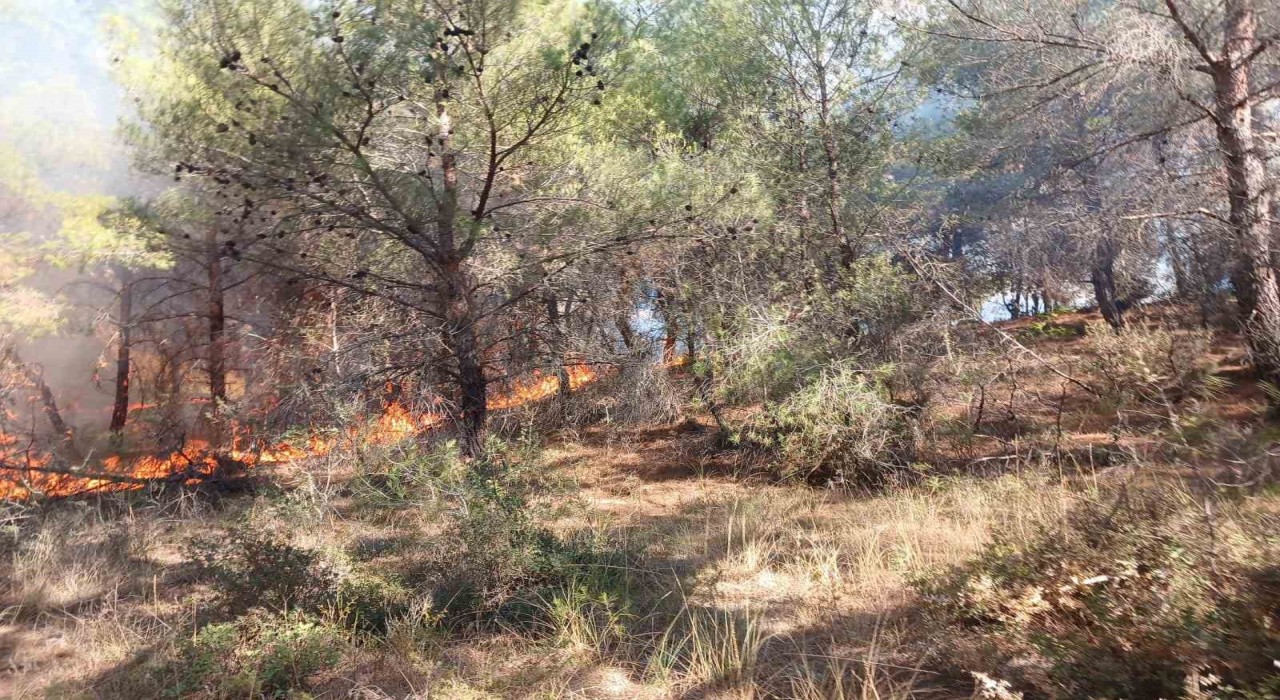 Çanakkalede ormanlık alanda çıkan yangın kontrol altına alındı