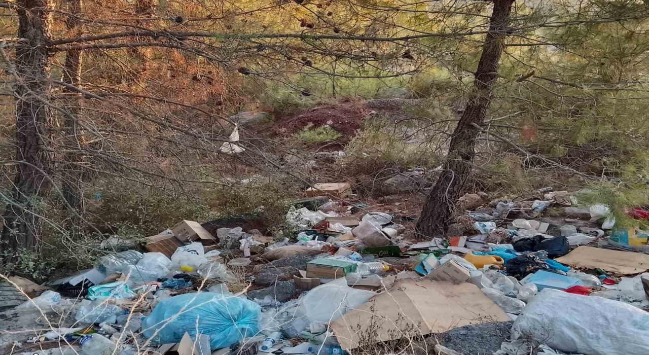 Çanakkalede ormanlık alanlar çöpten geçilmiyor