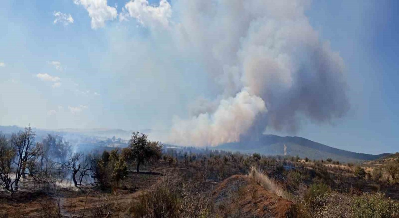 Çanakkalede tarım arazisinde yangın