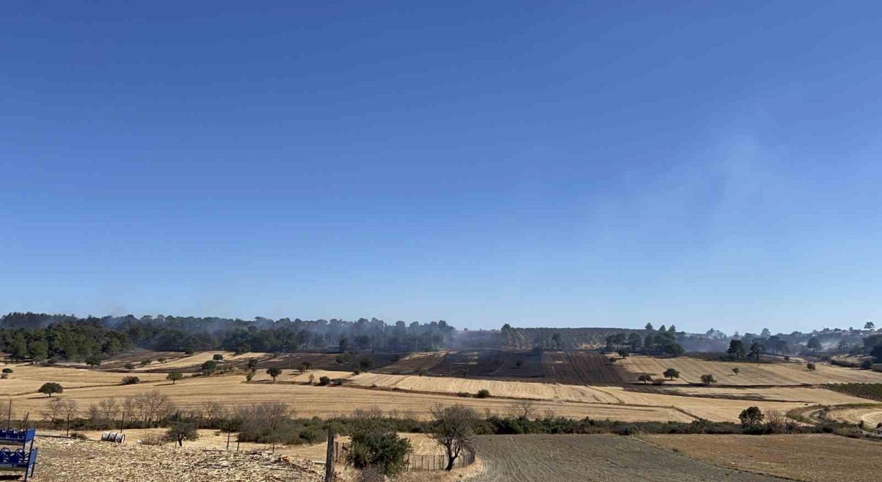 Çanakkaledeki orman yangını kontrol altına alındı