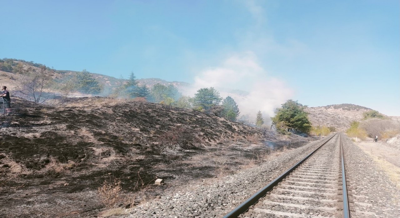 Çankırıda çıkan ot yangını büyümeden söndürüldü