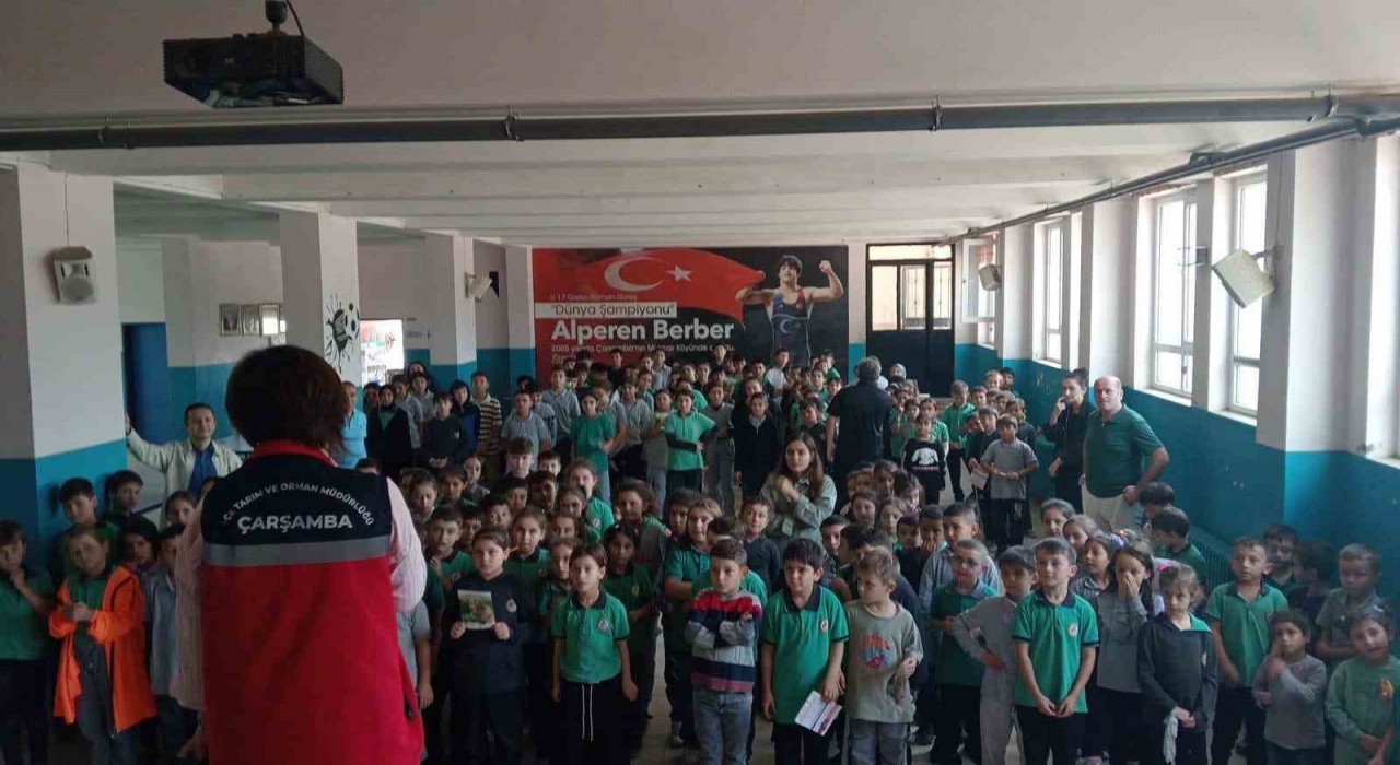 Çarşambada tarımda koruma ve mücadele çalışmaları