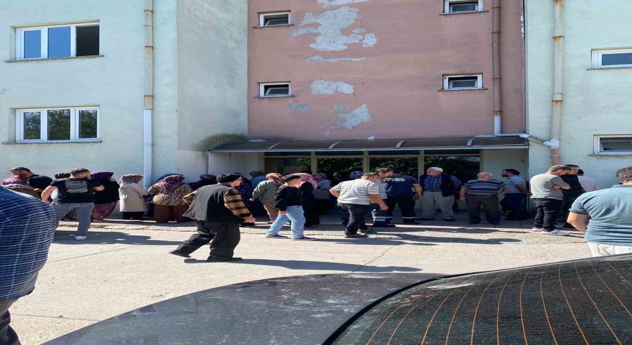 Ceviz toplarken elektrik akımına kapılarak hayatını kaybetti