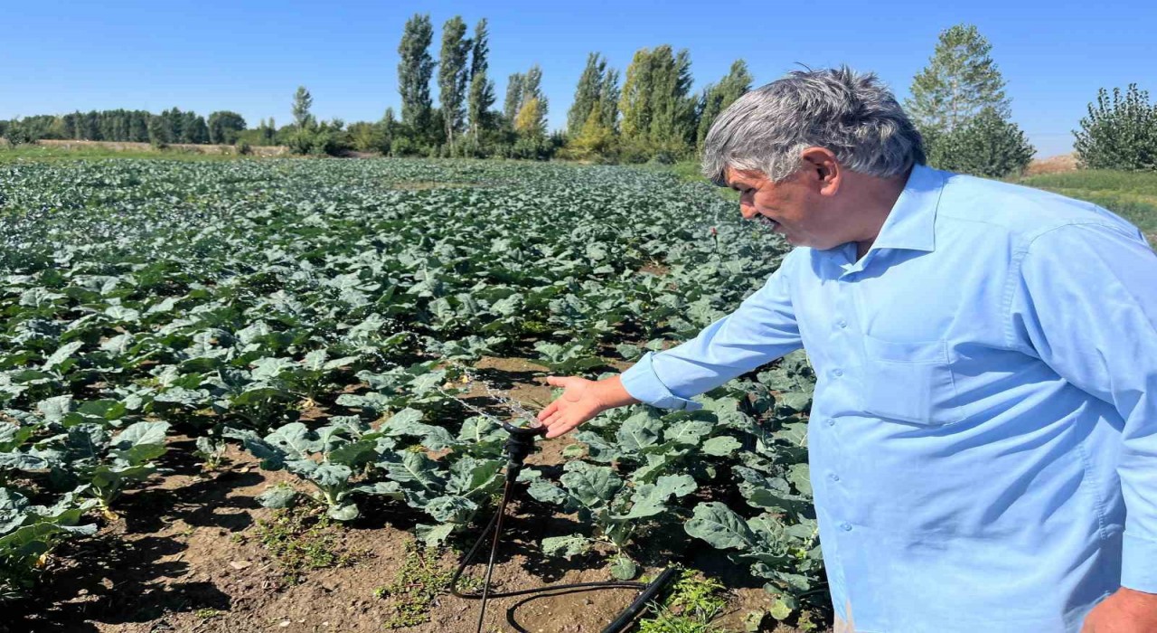 Çiftçilerin kullandığı kuyu suları 2 metreye kadar indi
