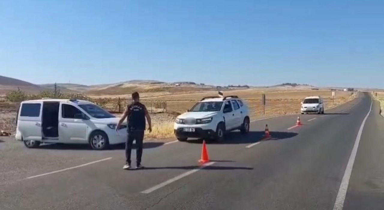 Cips kolisinden binlerce paket kaçak sigara çıktı