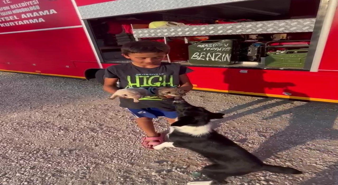 Çocuklar ihbar etti, atık su borusuna sıkışan yavru köpekler kurtarıldı