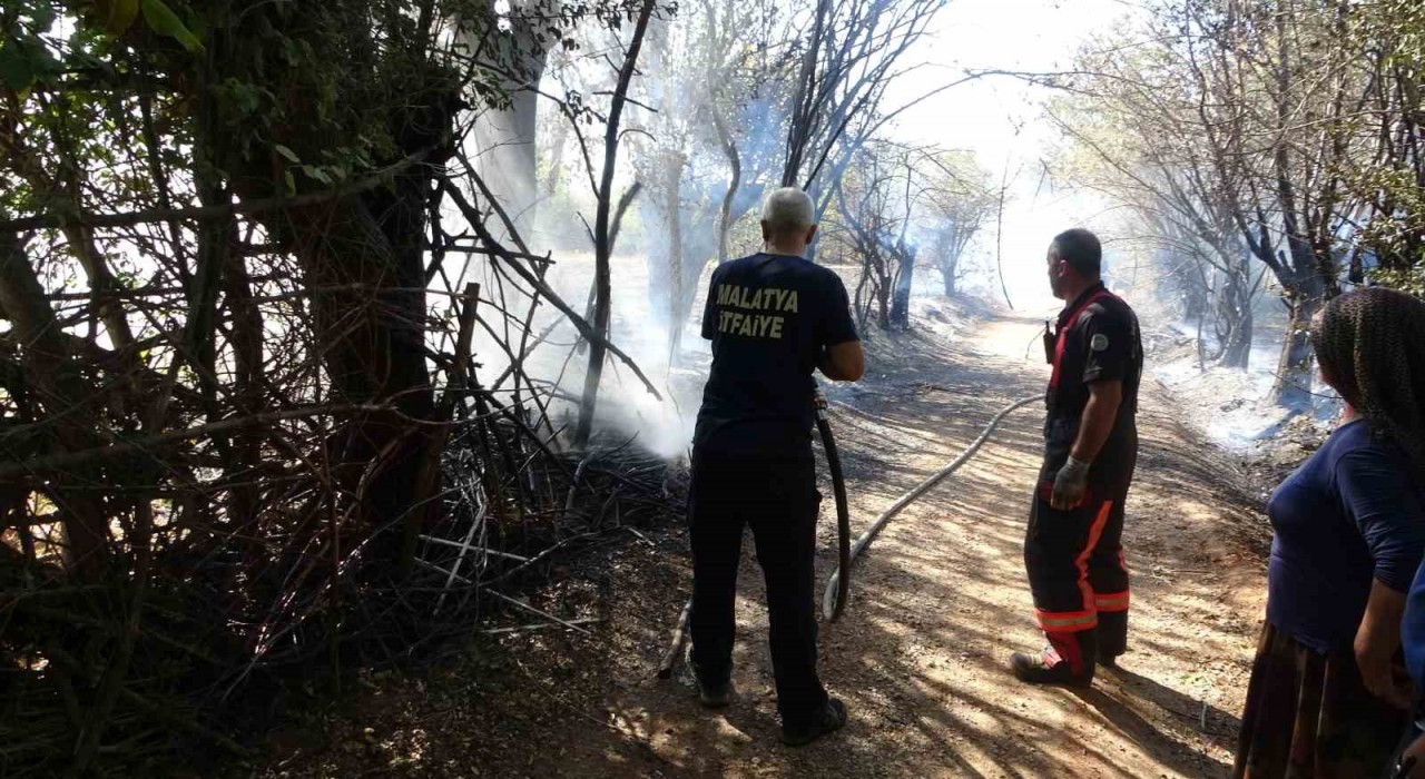 Çöpleri yakmak isterken meyve bahçelerini küle çevirdi