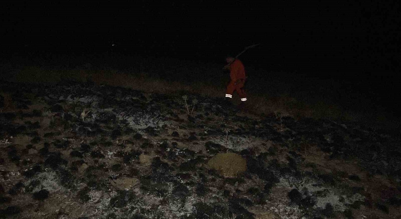 Çorumda arazi yangının ormana sıçramasını ekipler önledi