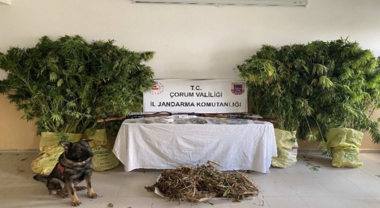 Çorumda jandarmadan uyuşturucu tacirlerine operasyon: 2 tutuklama