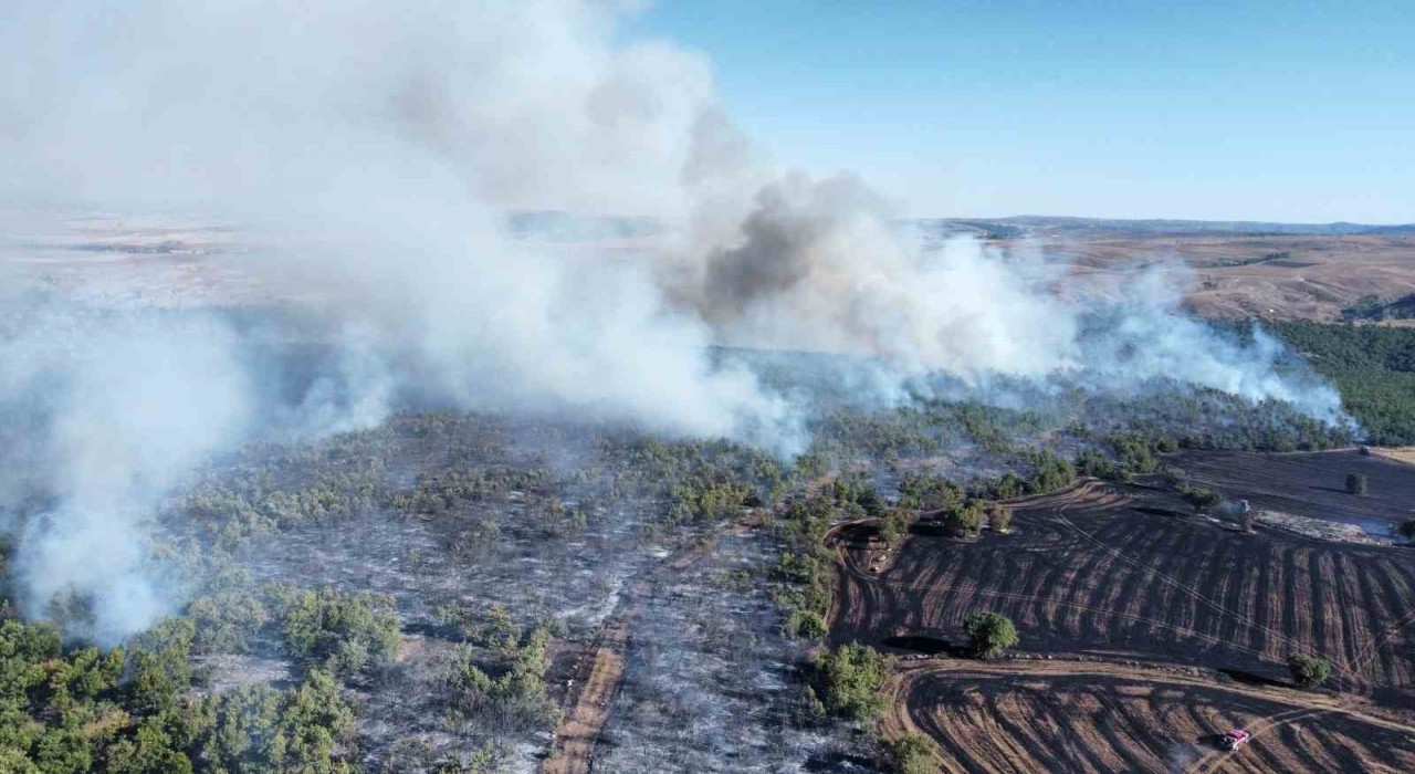 Çorumdaki yangında 70 bin dönümden fazla alan zarar gördü
