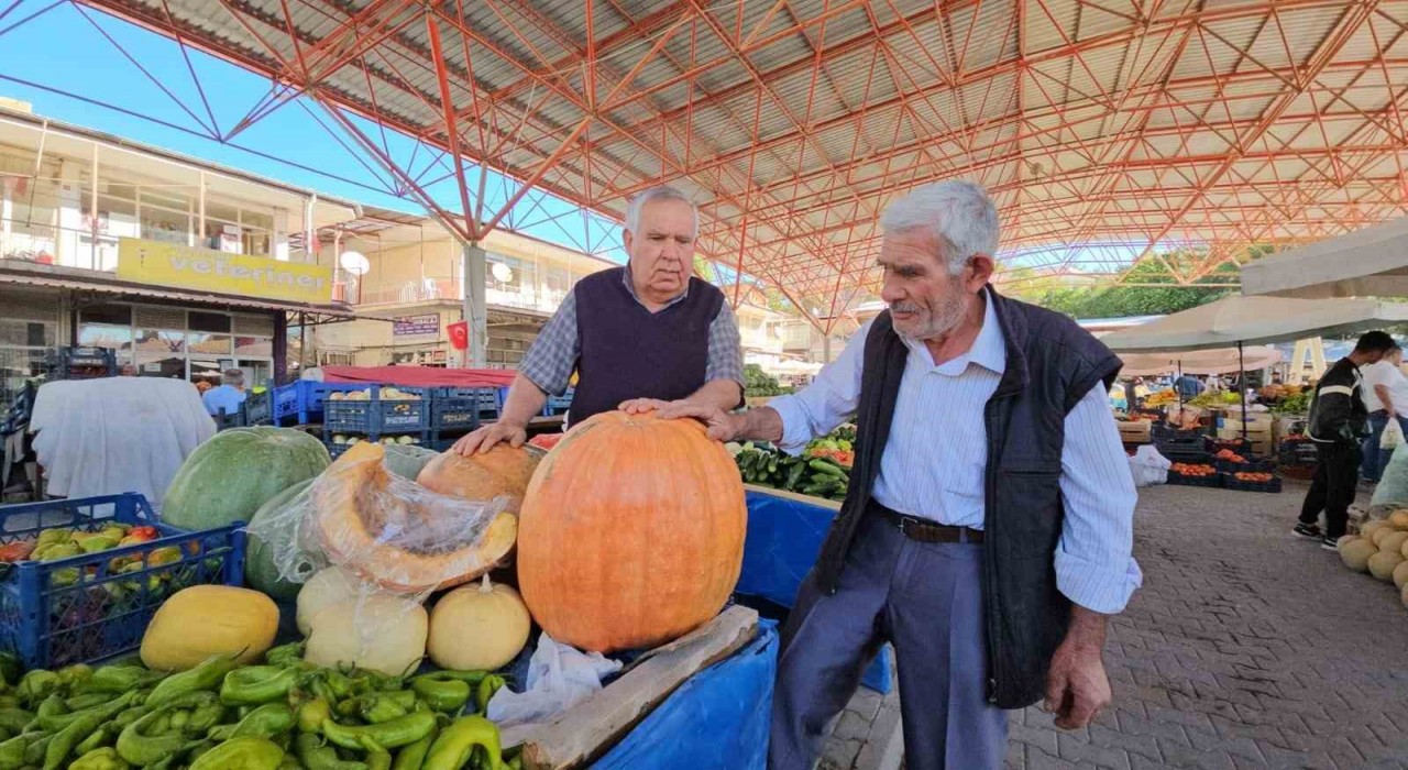 Darendenin meşhur bal kabağı üreticinin yüzünü güldürüyor