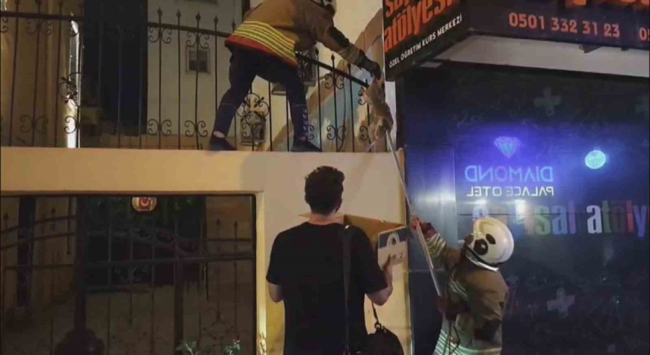 Demir korkulukta mahsur kalan kediyi itfaiye kurtardı