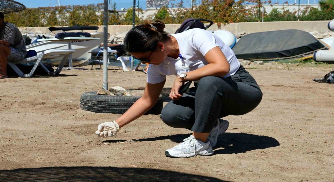 Deniz Çöpleri İzleme Programı Turgutreiste devam etti