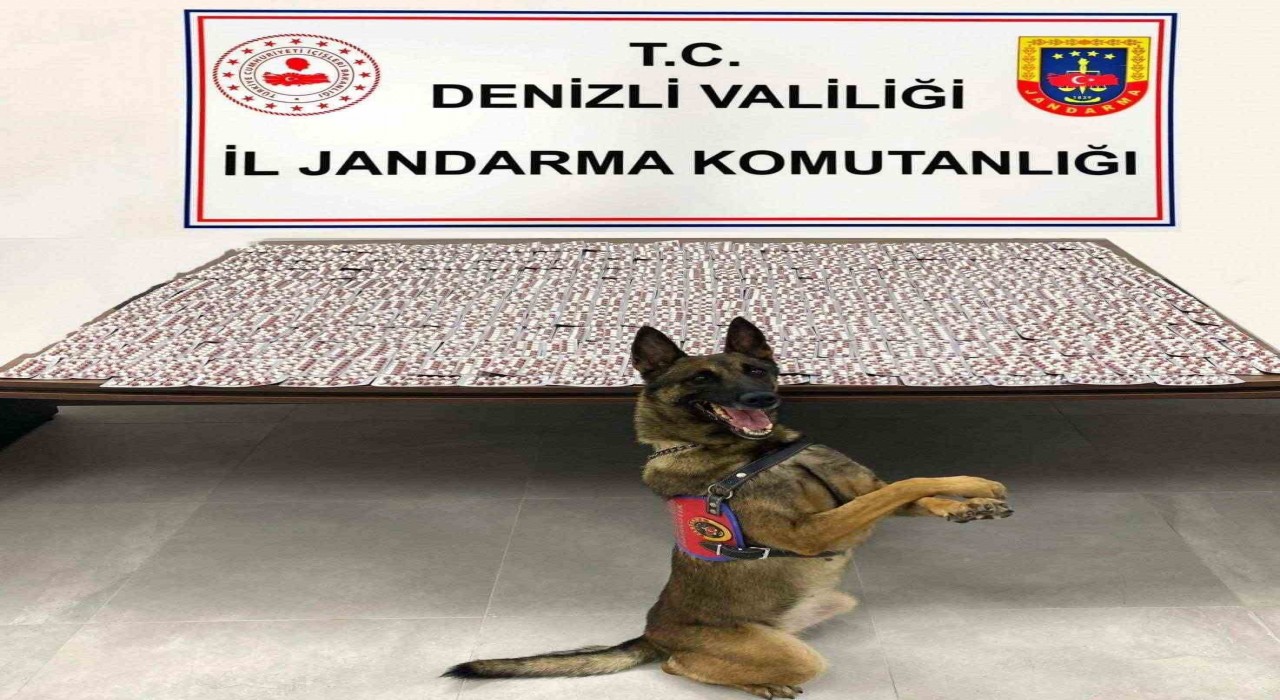 Denizlide jandarma uyuşturucu tacirlerine geçit vermiyor