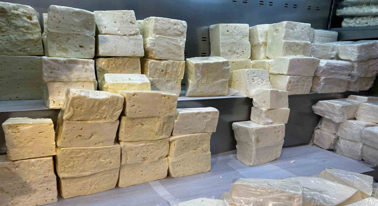 Denizlide peynir üreten firmanın 5 ürününde yağ oranı düşük çıktı