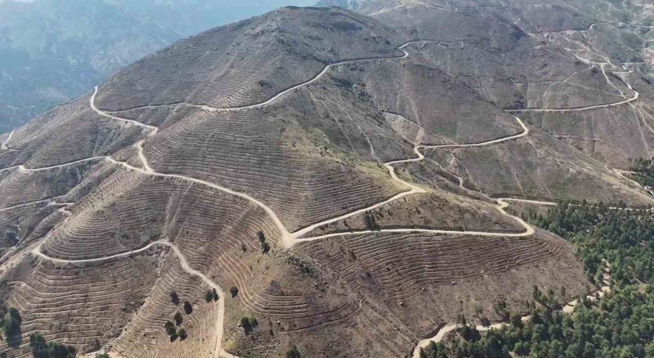 Denizlide yanan 4 bin 108 hektar orman sahasında 2,5 milyon fidan yeşerecek