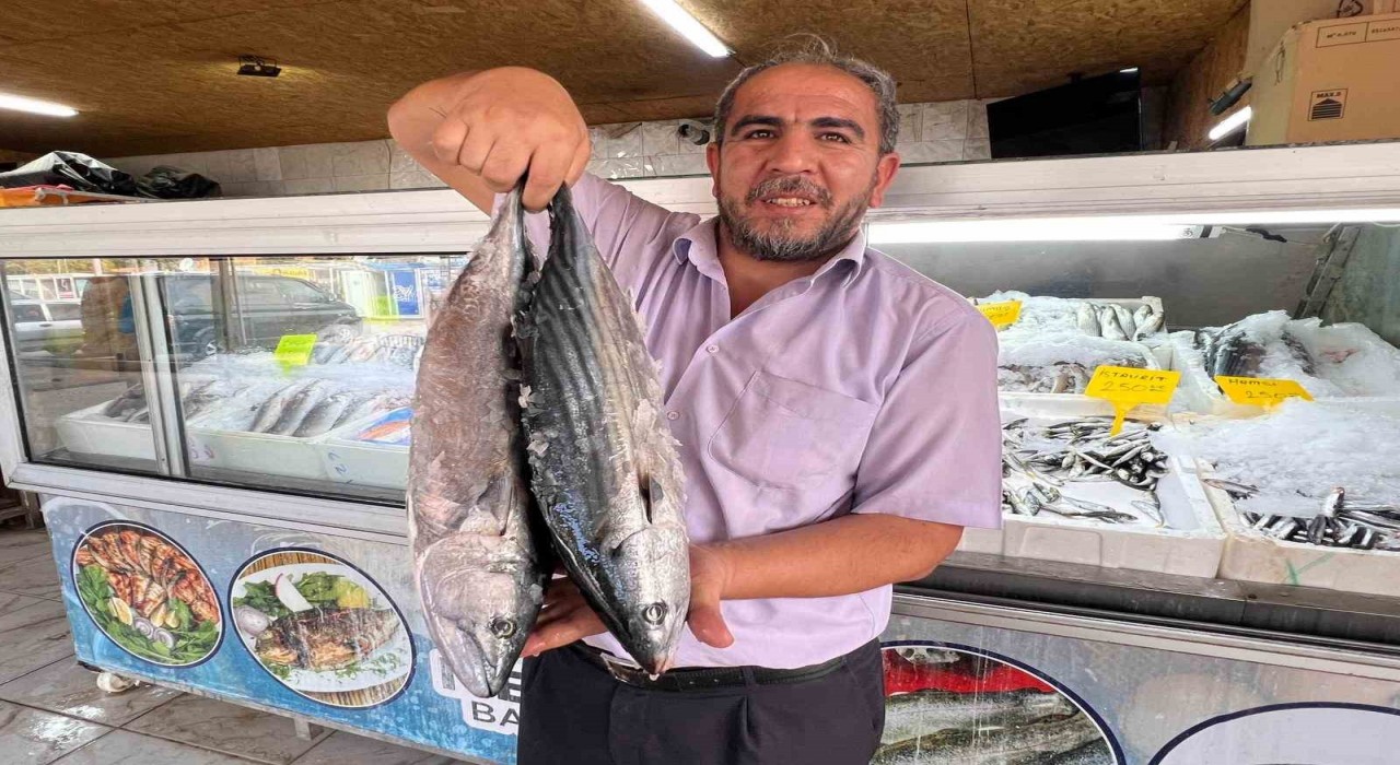 Deprem sonrası Kahramanmaraştan 54 ülkeye balık ihracatı