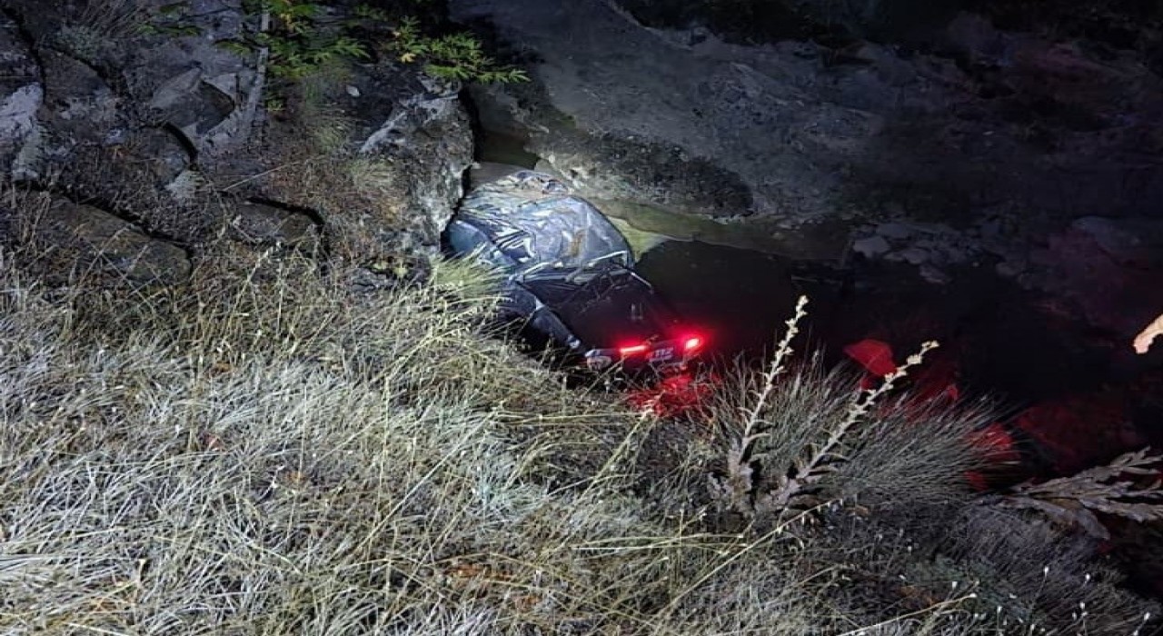 Dereye düşen kamyonetin sürücüsü yaralandı