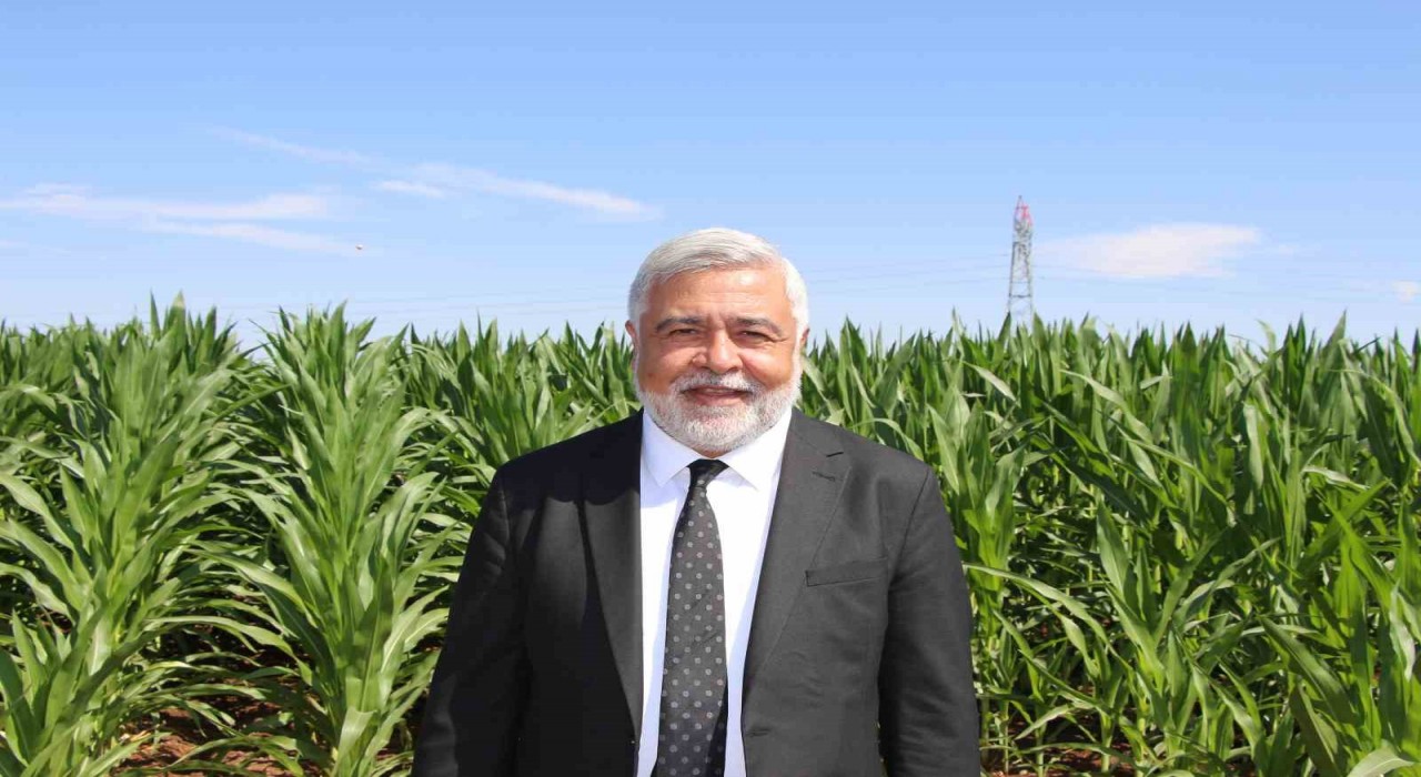 Dicle Elektrik Genel Müdürü Arvas: Bölgede sorun elektrik değil, sulama