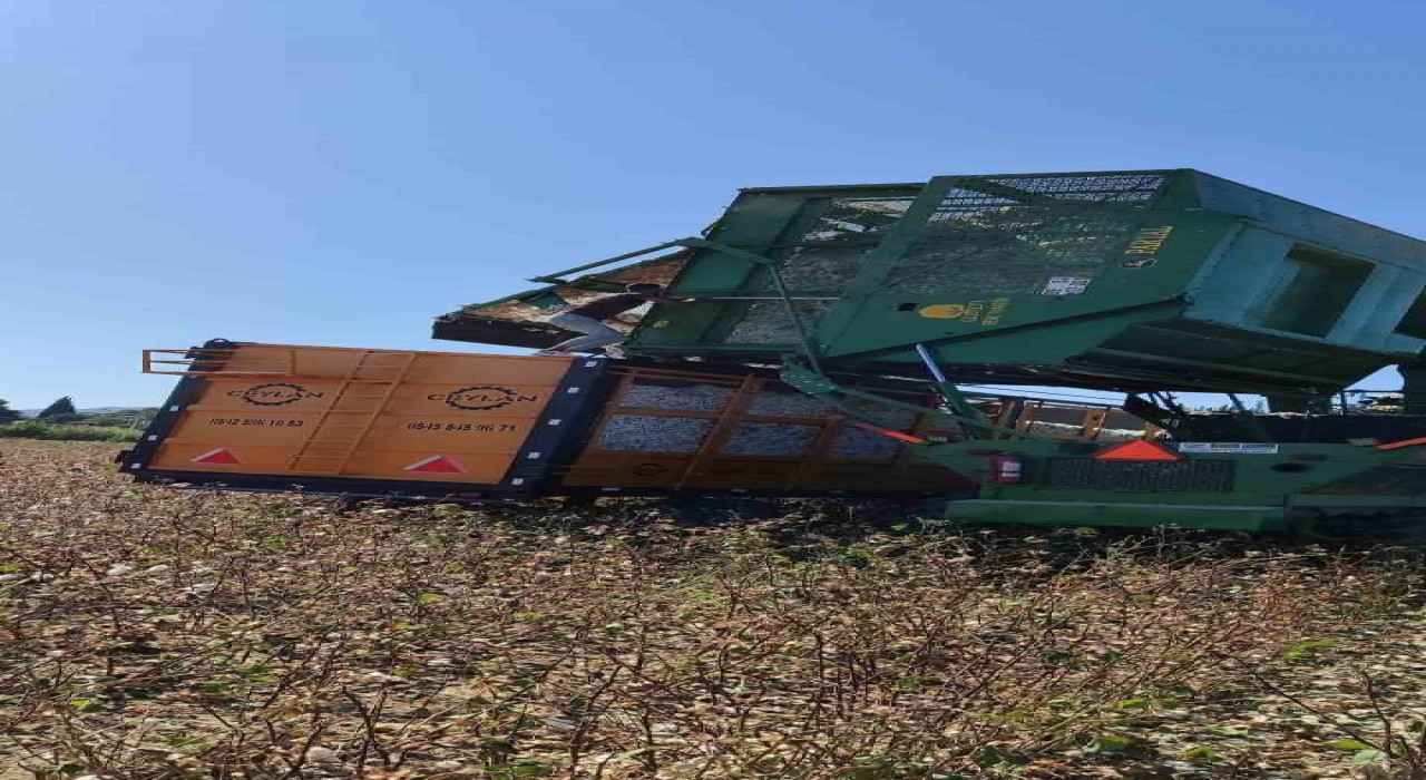 Didimde pamuk hasat makinelerine denetim