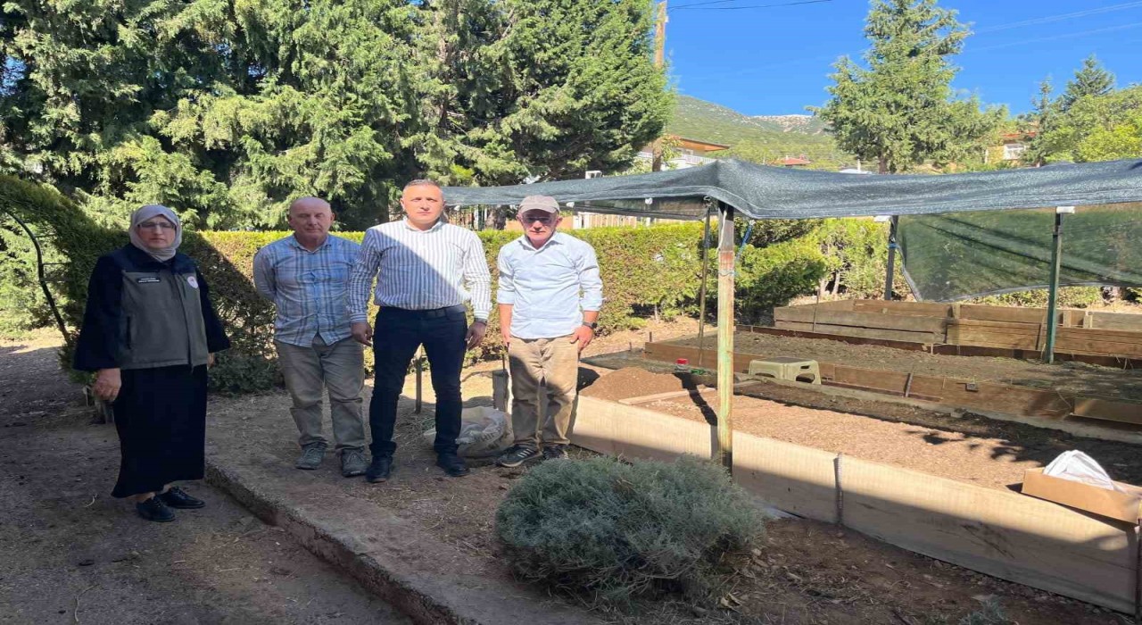 Dinarda sezonun ilk salep ekimi yapıldı