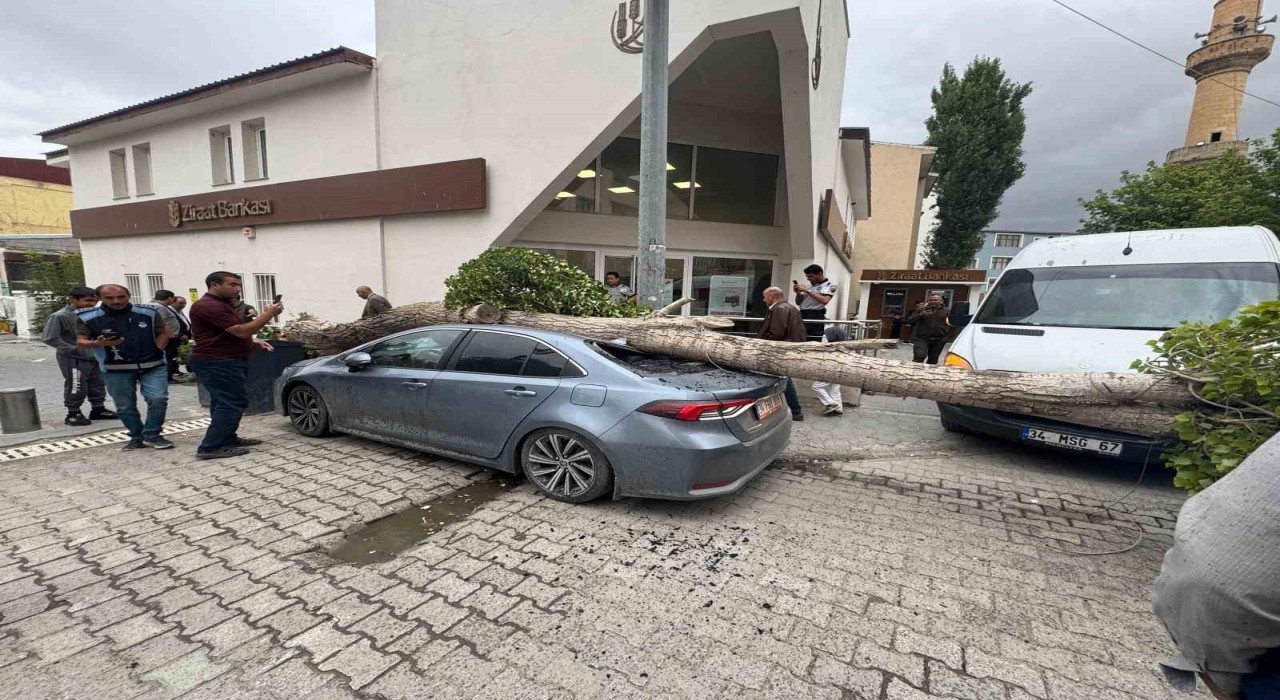 Diyadinde ağaç devrildi araç hasar gördü