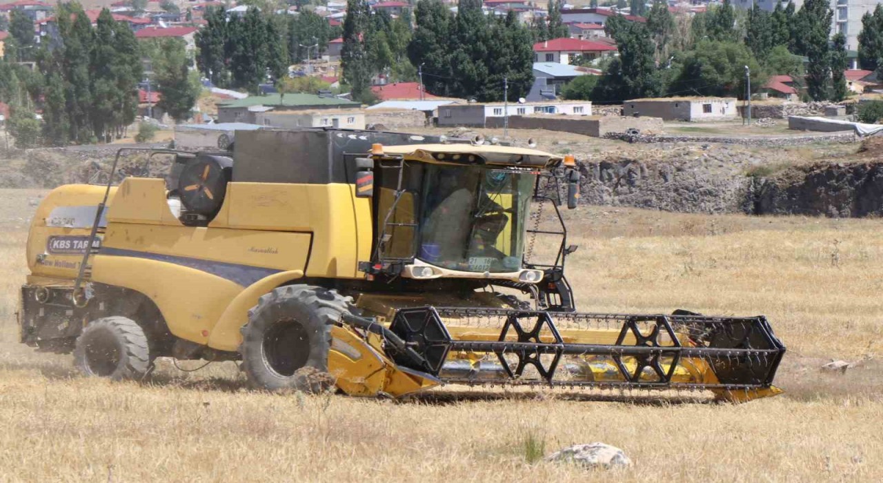 Diyadinde hasat mevsimi başladı