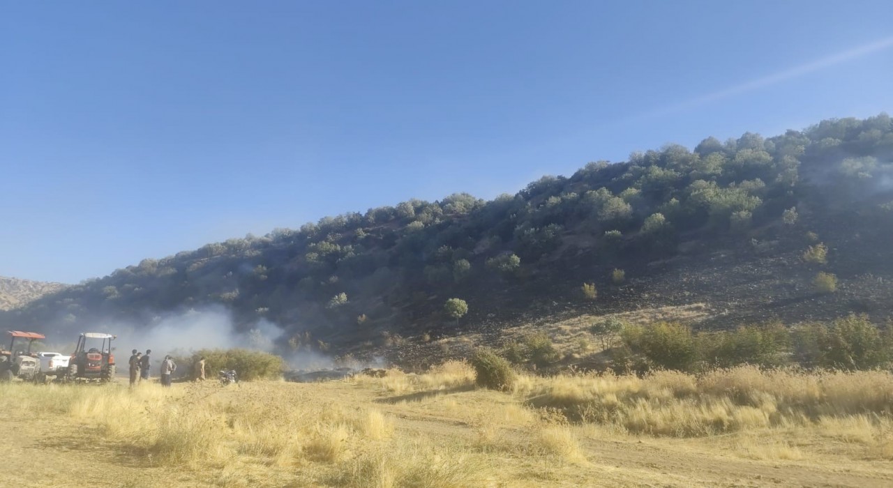 Diyarbakırda anız yangını ormanlık alana sıçradı